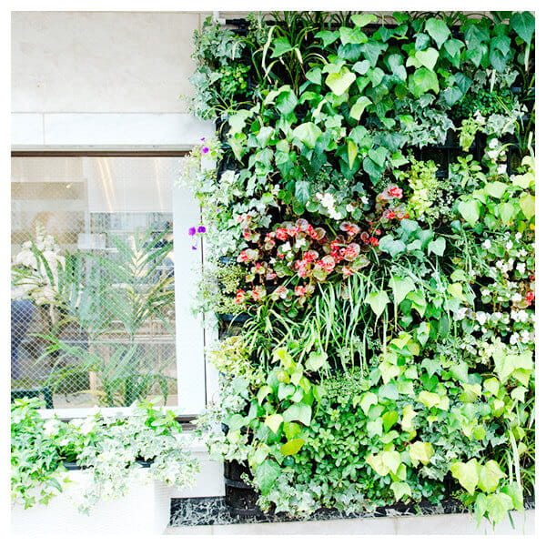 植栽